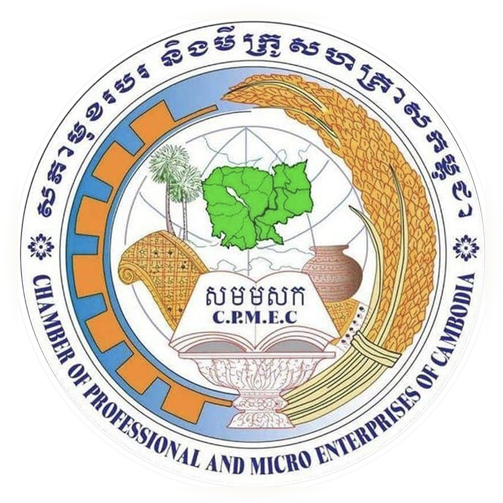 Pasted Graphic 2 - TSD Software Development in Cambodia