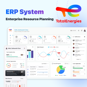 erp system for total energies - TSD Software Development in Cambodia